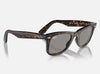 Ray-Ban Wayfarer Sunglasses – Brown