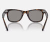 Ray-Ban Wayfarer Sunglasses – Brown